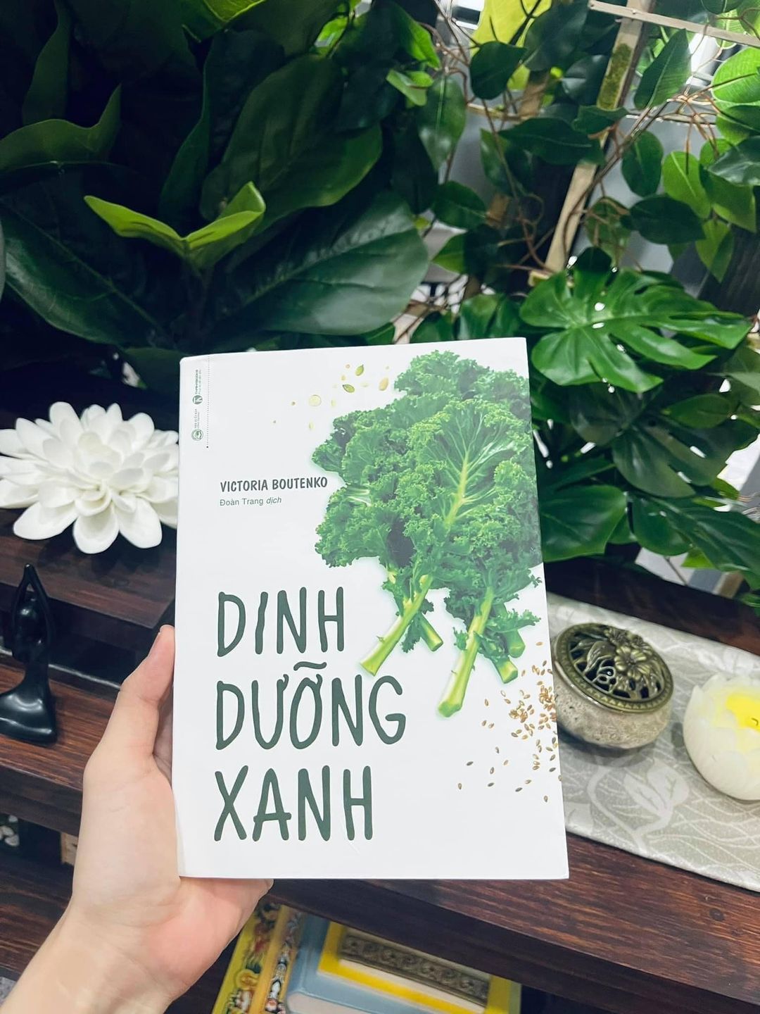 CHẾ ĐỘ DINH DƯỠNG LÀ GÌ?